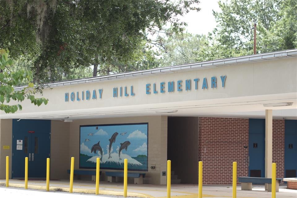 Holiday Hill Elementary School pic