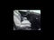 2025 MINI HARDTOP 2 DOOR Cooper S