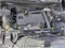 2024 GMC Terrain FWD 4dr SLE